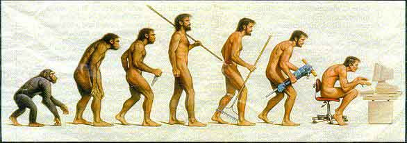 Evolution of Mind